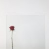 vitrages-verrieres-atelier-artiste-18